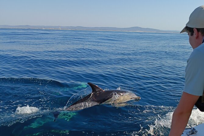 Dolphin Watching + 2 Islands Tour - From Faro - At a glance