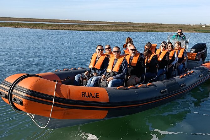 Dolphin Watching + 2 Islands Tour - From Faro - Leaving Faro through the Ria Formosa