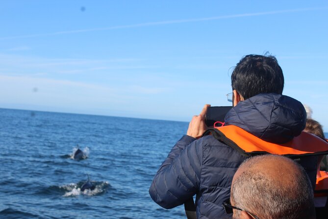 Dolphin Watching + 2 Islands Tour - From Faro - What the small boat changes