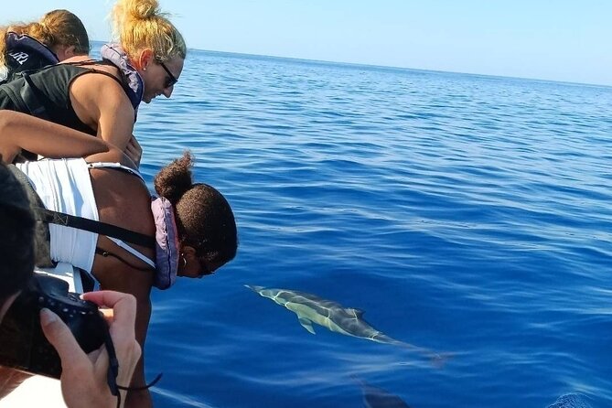 Dolphin Watching + 2 Islands Tour - From Faro - Is $72.59 a fair price?