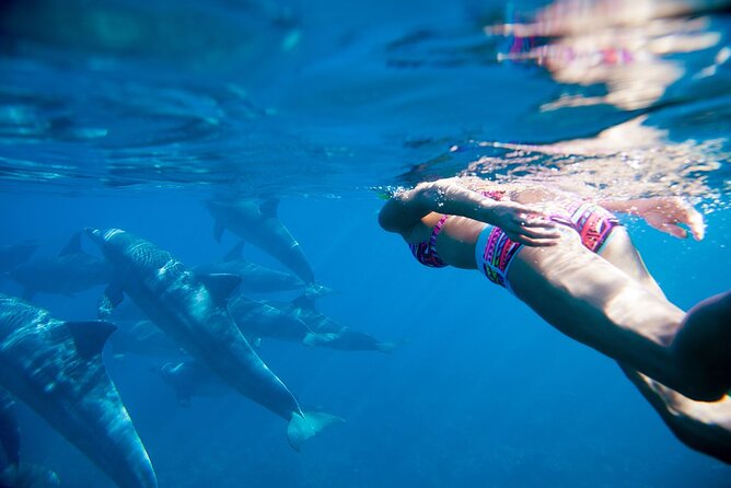 Dolphin watching 7 hours Boat Trip & Snorkelling from Hurghada - Searching for dolphins in open water