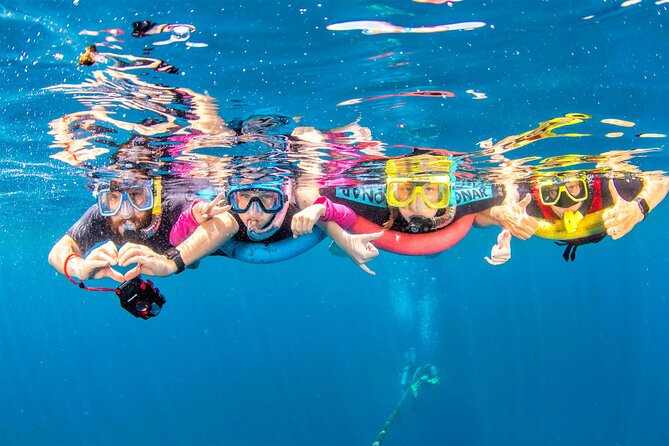 Dolphin watching 7 hours Boat Trip & Snorkelling from Hurghada - What a group of up to 30 means