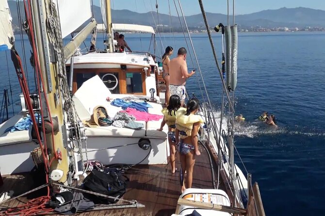 Dolphin Watching Adventure in Estepona Bay - Timing, value, and the $42.33 price