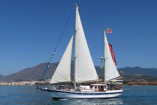 Dolphin Watching Adventure in Estepona Bay - Searching for dolphins in Estepona Bay