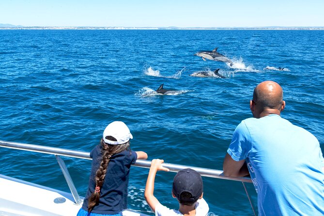 Dolphin Watching and Cave Boat Cruise from Albufeira - Leaving Albufeira for the Algarve coast