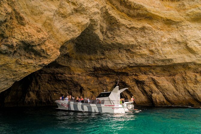 Dolphin Watching and Cave Boat Cruise from Albufeira - Searching for common and bottlenose dolphins