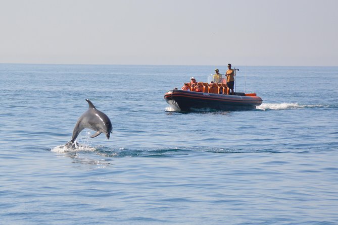 Dolphin Watching and Cave Tour from Vilamoura - Key points to know before you book