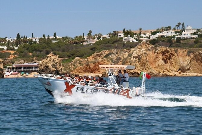 Dolphin Watching and Caves Cruise - Leaving Albufeira Marina for the Algarve coast