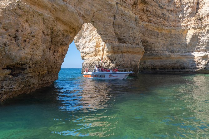 Dolphin Watching and Caves Cruise - Who will enjoy this boat trip most
