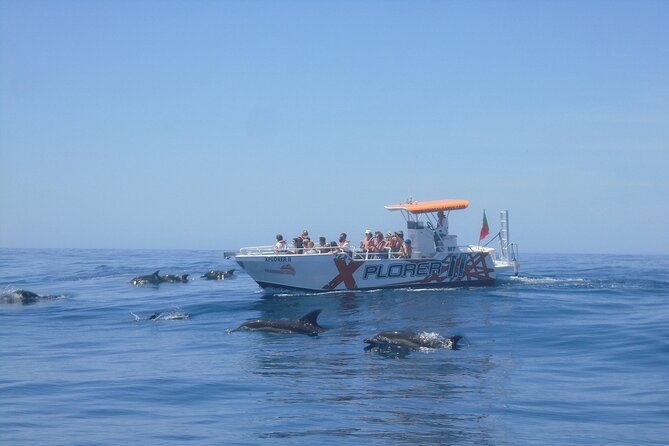 Dolphin Watching and Caves Cruise - Coastline views between Albufeira and Carvoeiro