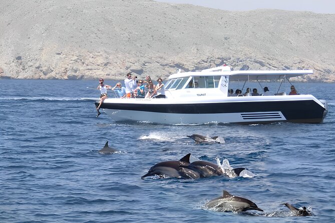 Dolphin Watching and Snorkeling Activity in Muscat - Key points to know before you book