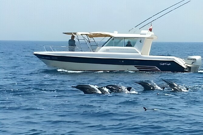 Dolphin Watching and Snorkeling Activity in Muscat - The duration needs a careful reading