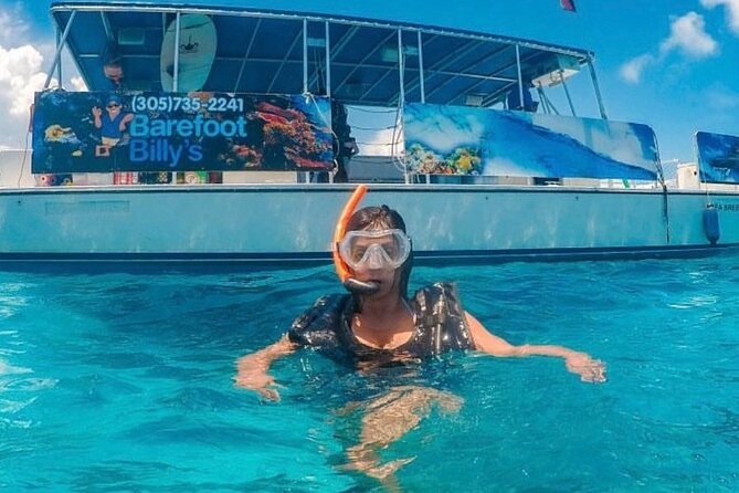 Dolphin Watching and Snorkeling Adventure in Key West - A three-and-a-half-hour Key West wildlife outing