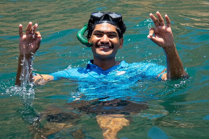 Dolphin Watching and Snorkeling Cruise Experience in Muscat - Is $75 a fair price for this Muscat cruise?