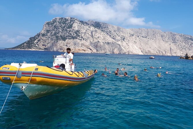 Dolphin Watching and Snorkeling in Figarolo in Sardinia - Who will enjoy this boat trip most?