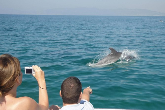 Dolphin Watching and Snorkeling Tour from Muscat - How good is the $94 value?