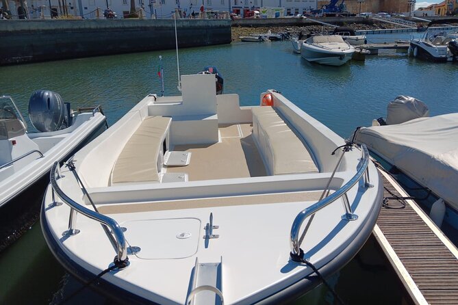 Dolphin watching and wildlife from Faro - From Faro Marina to the open Atlantic