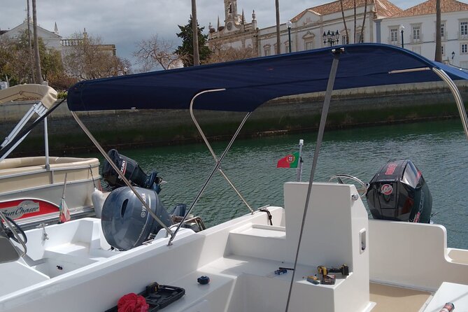 Dolphin watching and wildlife from Faro - The crew and the personal feel