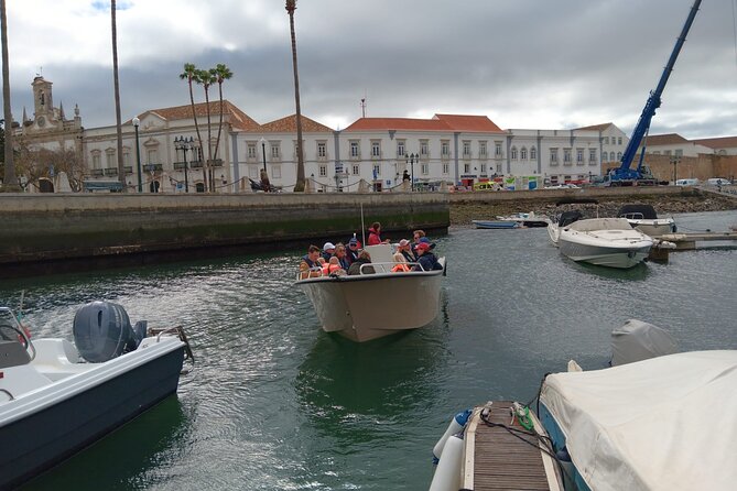 Dolphin watching and wildlife from Faro - Who will enjoy this Faro boat trip?