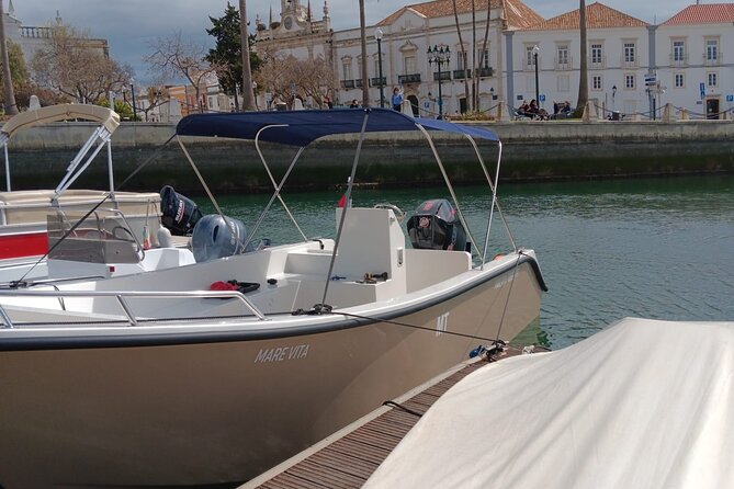 Dolphin watching and wildlife from Faro - Booking, weather, and cancellation details