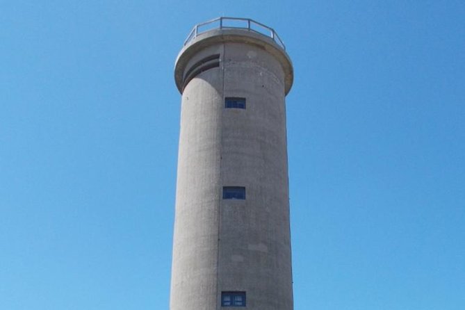Dolphin Watching around Cape May - Watching Bald Eagles, Osprey, and other wildlife