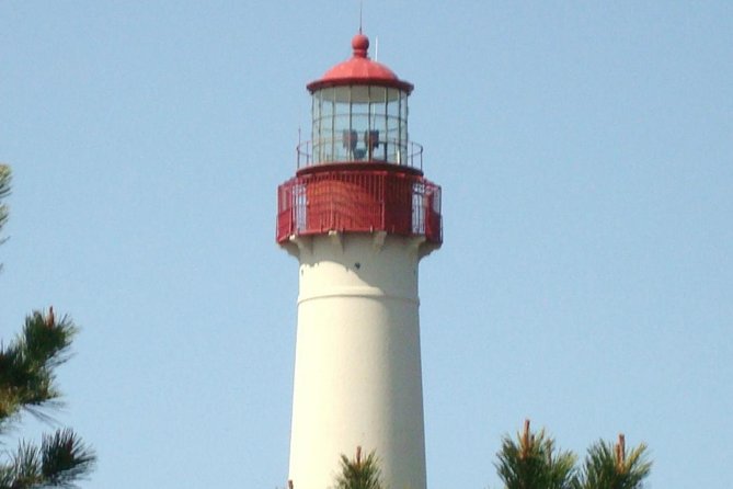 Dolphin Watching around Cape May - Setting out from 1218 Wilson Drive at 10:00 am