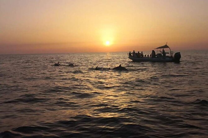 Dolphin Watching at Dawn in Alcúdia - A short swim at Es Coll Baix