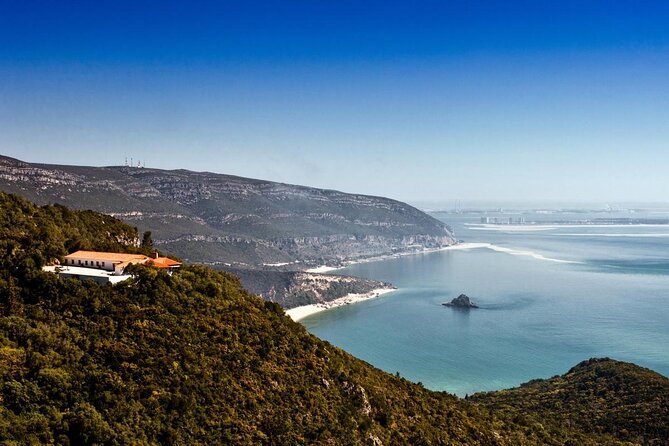 Dolphin Watching at the Arrabida (Lisbon region) - Key points to know before you book