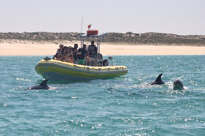 Dolphin Watching at the Arrabida (Lisbon region) - Why the Arrábida Marine Park makes this trip worthwhile