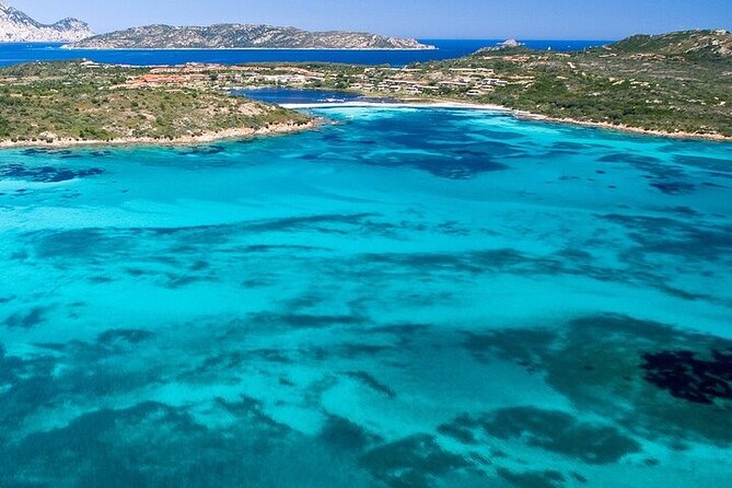 Dolphin Watching Boat Excursion to Figarolo Island from Olbia - The dolphin search around Olbia and Golfo Aranci