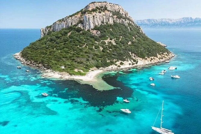 Dolphin Watching Boat Excursion to Figarolo Island from Olbia - Weather, cancellations, and simple planning advice