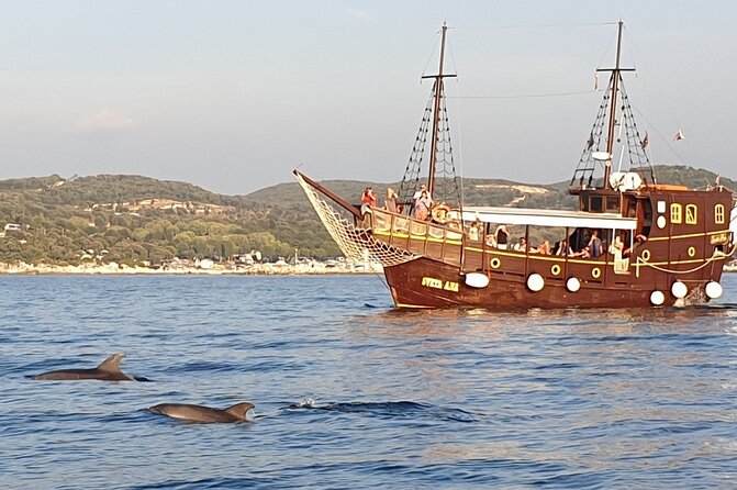 Dolphin Watching Boat Trip around Vrsar - What the $30.04 price really buys