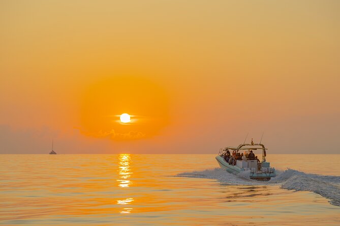 Dolphin watching by boat - Cap de Formentor from the water