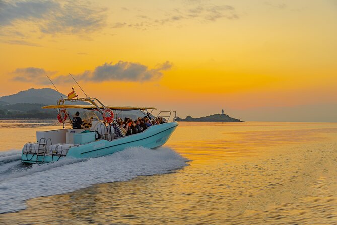 Dolphin watching by boat - Practical planning for the boat