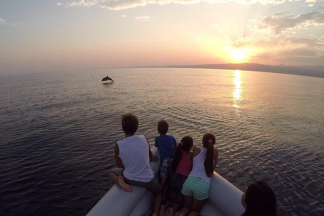 Dolphin Watching & Conservation - Dolphins in the Gulf of Catania - Why the conservation approach matters in the Gulf of Catania