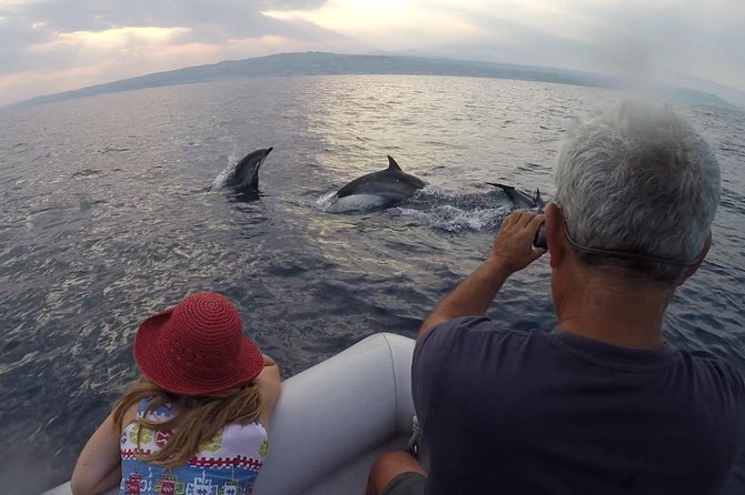 Dolphin Watching & Conservation - Dolphins in the Gulf of Catania - What the small boat feels like on the water