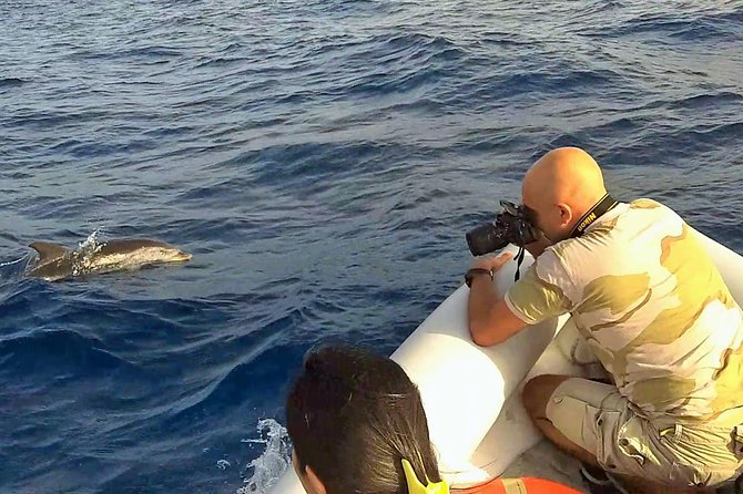 Dolphin Watching & Conservation - Dolphins in the Gulf of Catania - The search for dolphins, not a guaranteed performance