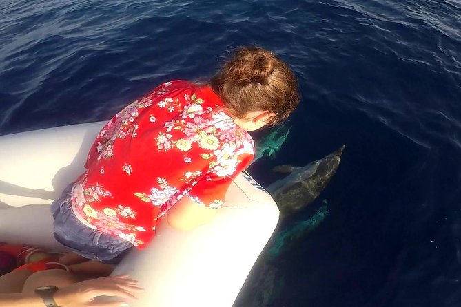 Dolphin Watching & Conservation - Dolphins in the Gulf of Catania - Binoculars, recognition cards, and the hydrophone