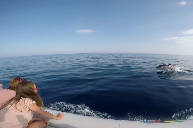 Dolphin Watching & Conservation - Dolphins in the Gulf of Catania - Aci Trezza and Aci Castello from the sea