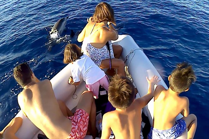 Dolphin Watching & Conservation - Dolphins in the Gulf of Catania - Is $84.48 a fair price?