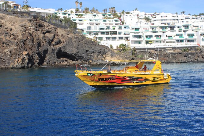 Dolphin Watching Cruise to Lobos Island - A sea day from Lanzarote to Lobos Island