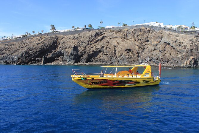 Dolphin Watching Cruise to Lobos Island - Practical details that make the day easier