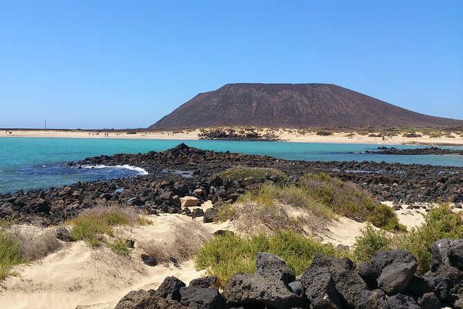 Dolphin Watching Cruise to Lobos Island - Lobos Island without stepping ashore