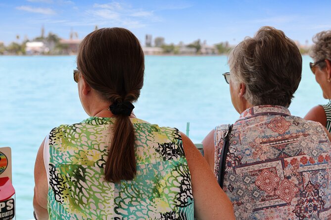 Dolphin Watching/Eco Cruise, John's Pass, Madeira Bch, FL - Timing, weather, and comfort on the water