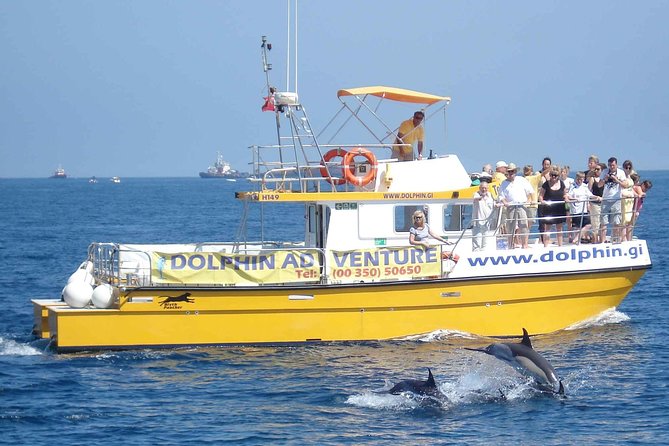 Dolphin Watching Excursion in Gibraltar - Sailing past the Rock of Gibraltar