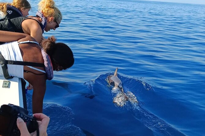 Dolphin Watching from Faro - Leaving Faro through the Ria Formosa channels
