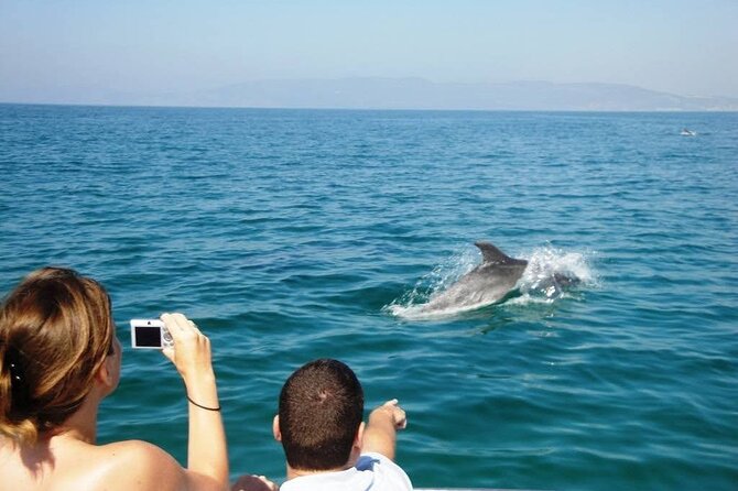 Dolphin Watching from Faro - A practical way to prepare