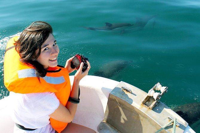 Dolphin Watching from Fuzeta - Key points to know before you book