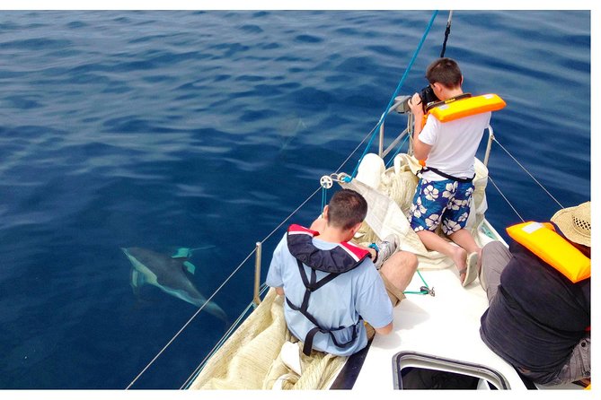 Dolphin Watching from Fuzeta - Weather and comfort deserve serious thought