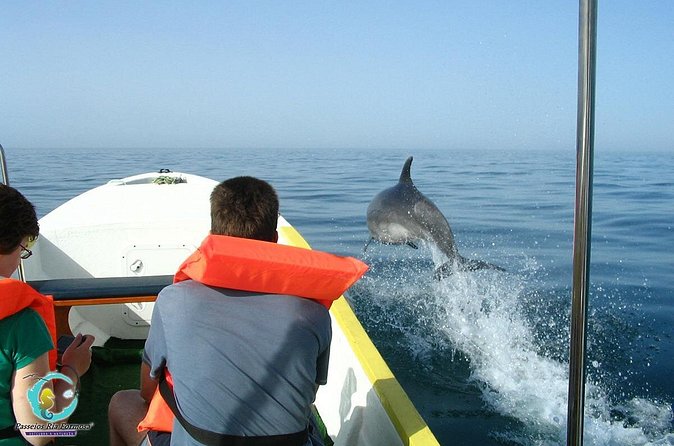 Dolphin Watching from Fuzeta - Price and what the $42.17 covers